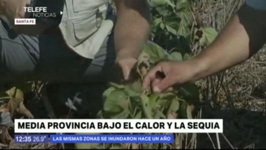 Sequía en Santa Fe: el 40 % de la provincia está afectada