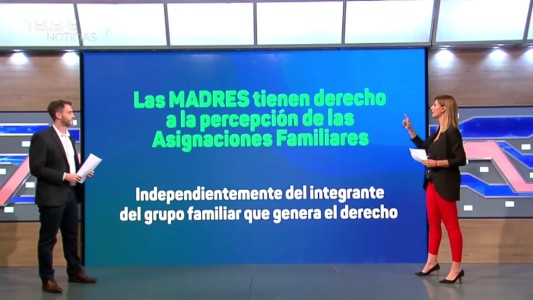 Micro de Anses: ¿De qué se trata el "Formulario "Madres"?