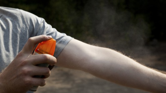 Volvieron los mosquitos: recomiendan extremar las medidas para evitar enfermedades transmitidas por el Aedes aegypti