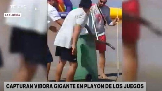 Capturaron una víbora en La Florida en medio de los Juegos de Playa