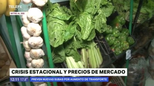 Aumentaron las verduras de hoja verde