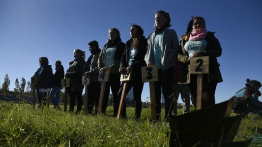 Más de 300 vecinos voluntarios plantaron mil nuevos árboles en el Bosque de los Constituyentes