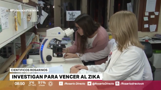 Virus del Zika: científicos rosarinos buscan conocerlo para combatirlo