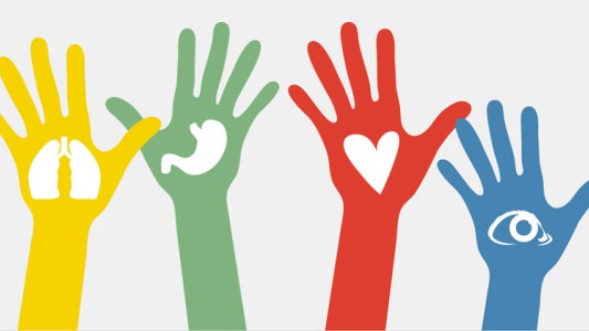 Dar es dar: artistas santafesinos unidos por la donación de órganos