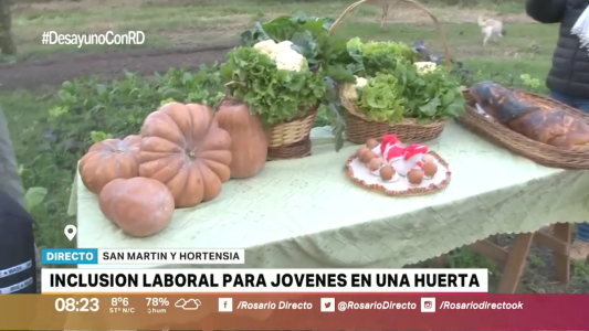 Plan Abre: inclusión laboral para jóvenes en una huerta rosarina