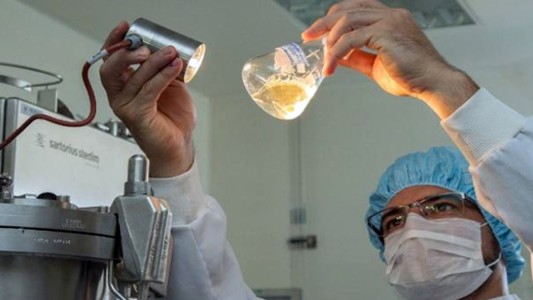 El INTI desarrolló un hongo con propiedades nutritivas superiores a la carne