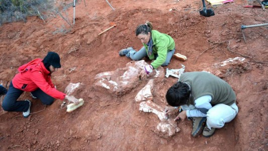 Hallaron en San Juan al dinosaurio gigante más antiguo que habitó la Tierra