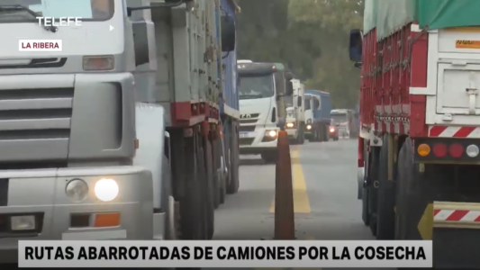 Época de cosecha: continúa la alta circulación de camiones en las rutas
