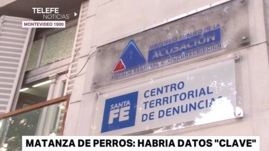 Protectoras animales denunciaron la matanza de perros