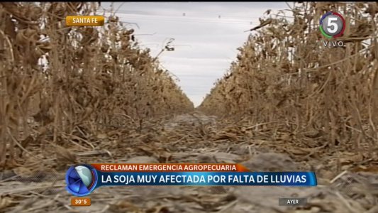 Preocupante sequía en el área pampeana: pedirán la emergencia agropecuaria