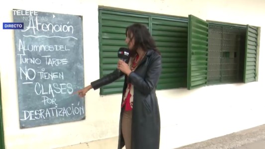 Suspenden las clases en una escuela de barrio Las Flores por presencia de ratas