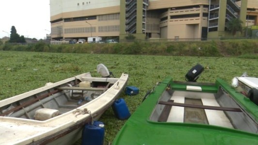 Por la crecida, avanzan los camalotes en el arroyo Ludueña