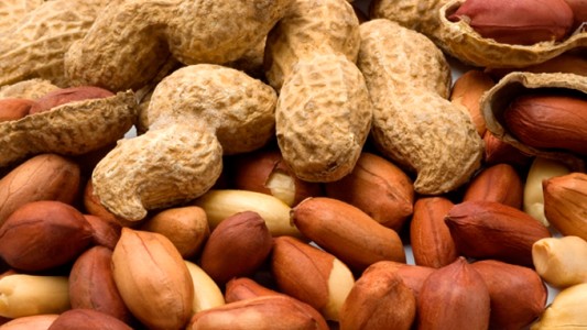 En medio del apagón nacional, un pueblo iluminado por la cáscara de maní