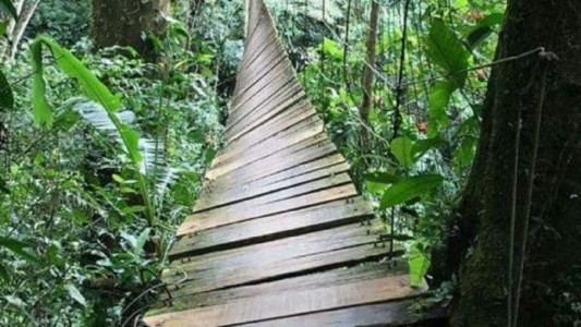 Al menos 11 muertos y 14 heridos por la caída de un puente colgante en Colombia