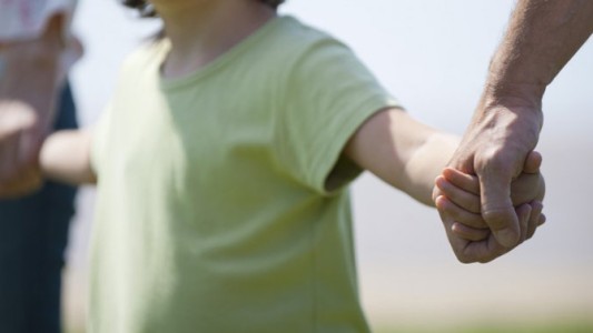 El Senado aprobó el proyecto de registro de deudores alimentarios