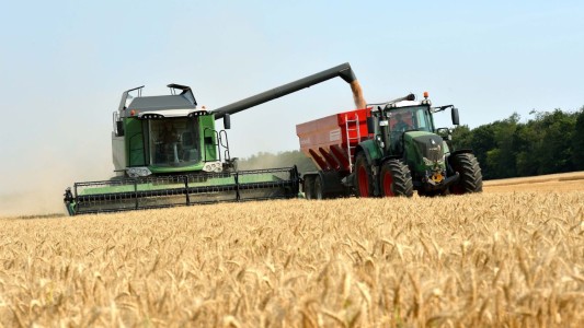 Tras doce meses en baja, la economía creció 2,6 % en mayo