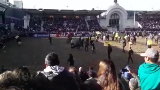 Militantes veganos invadieron la pista en la Rural y los gauchos los corrieron con caballos