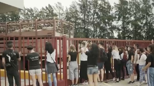 Vigilia vegana: así es el ritual para despedir a los animales que van al matadero
