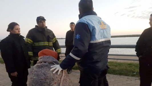 Rescatan a una mujer que fue arrojada a la barranca por su ex pareja