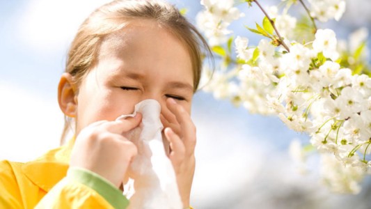 Emergencia mundial: las alergias, camino a ser epidemia