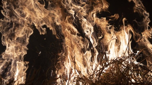 Unos 400 bomberos voluntarios argentinos se ofrecieron para combatir incendios en Brasil