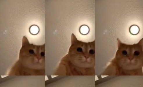 #MrSandmanChallange, el nuevo desafío viral que es furor en las redes