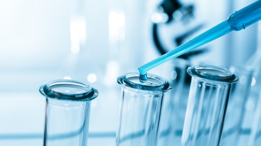 Científicos argentinos demuestran que un tipo de alga marina puede eliminar células tumorales