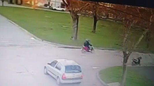 Crimen de Navila: imágenes la muestran junto al acusado camino a la finca donde fue asesinada