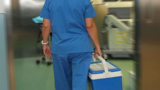 Santa Fe es la segunda provincia del país en donación de órganos