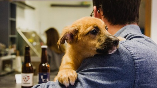 Cuáles son los nombres para perros más populares en Argentina