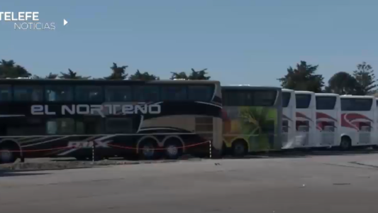 Carrocera local fabricará colectivos urbanos