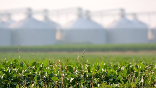 El Gobierno aumentó las retenciones al campo