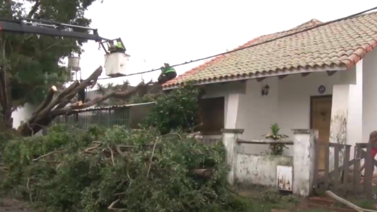 Primeras consecuencias de la tormenta: calles anegadas y árboles caídos
