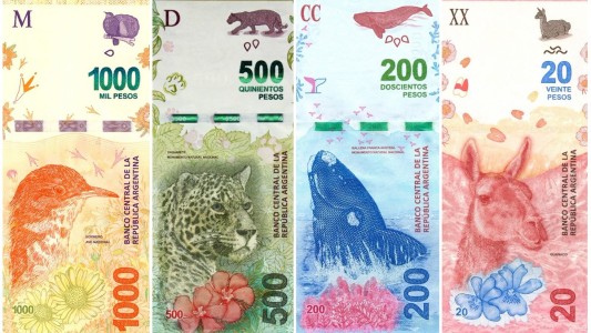 Adiós a los animales autóctonos: el Banco Central confirmó cambios en los billetes