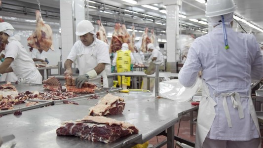 El Gobierno busca incluir al sector de la carne en el Plan contra el Hambre