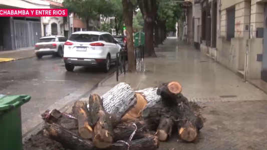 Denunciaron durante tres años que caería el árbol de su vereda y cayó