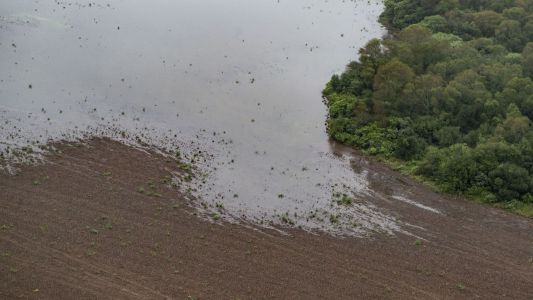 En 2019 se deforestaron más de 80.000 hectáreas de bosques en el norte argentino, según Greenpeace