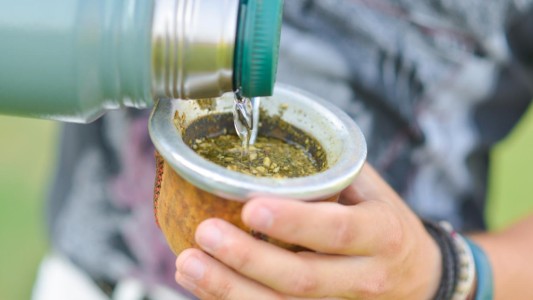 Detectan salmonella en una yerba mate y prohíben su venta en todo el país