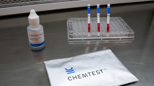 Científicos argentinos desarrollaron un test que detecta el virus del dengue en 10 minutos