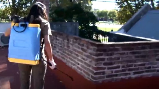 Confirman cuatro casos de dengue autóctono en Rosario