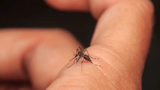 Confirman 680 casos de dengue autóctono en Argentina y 156 de sarampión