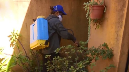 Coronavirus no, dengue sí: insisten en la colaboración de los vecinos para combatir al mosquito transmisor