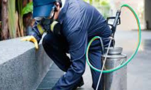 Amplían el listado de actividades y servicios esenciales durante la emergencia