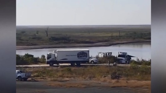 Denuncian una "depredación" de la fauna ictícola por parte de los frigoríficos