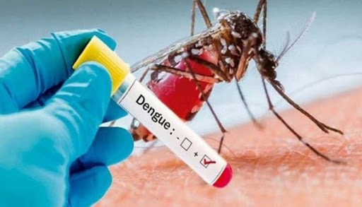 Rosario superó los cien casos positivos de dengue en la última semana