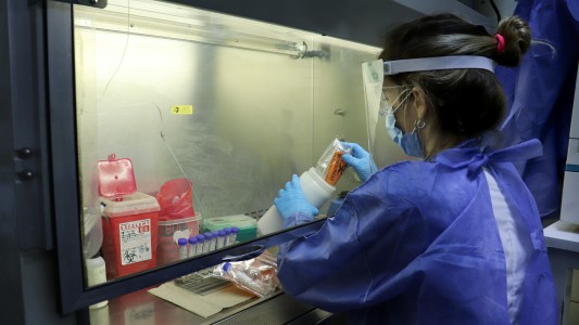 Coronavirus en Argentina: nuevo récord de contagios, con 1.141 positivos en las últimas 24 horas