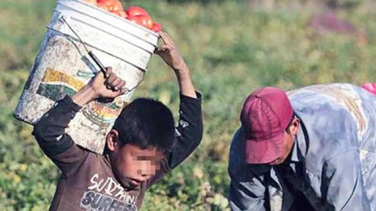 Advierten que la pandemia conduciría a más de 300 mil niños y adolescentes al trabajo infantil