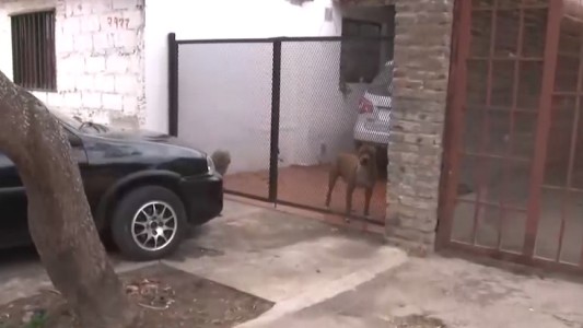 Hallan el cadáver de un joven apuñalado en barrio Godoy y hay tres detenidos