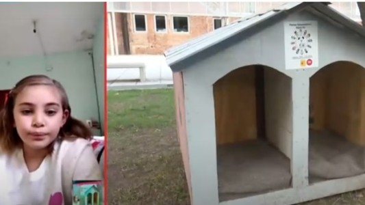 Conmovedor gesto de Lola: con 7 años, donó sus ahorros para proteger del frío a perros callejeros