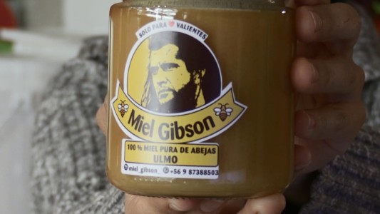 "Miel Gibson": la idea de una mujer para salvar a su familia que molestó al actor